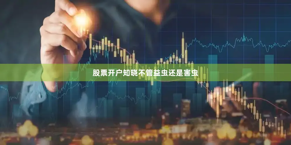 股票开户知晓不管益虫还是害虫