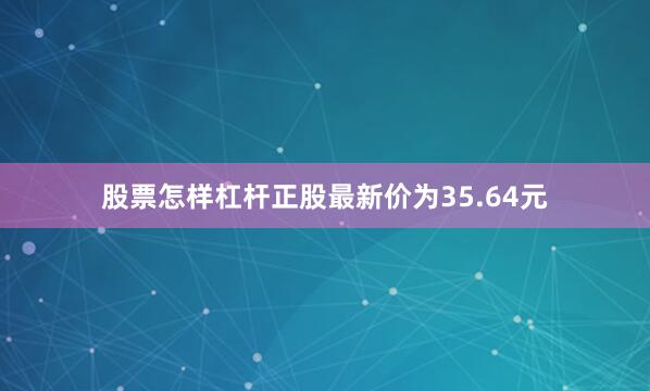 股票怎样杠杆正股最新价为35.64元