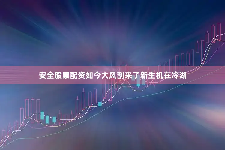 安全股票配资如今大风刮来了新生机在冷湖