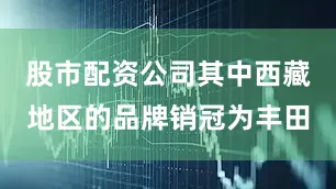股市配资公司其中西藏地区的品牌销冠为丰田